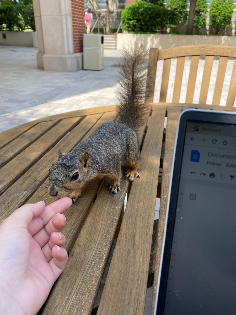 USA Chapitre 4 : What to do in OU&nbsp;?