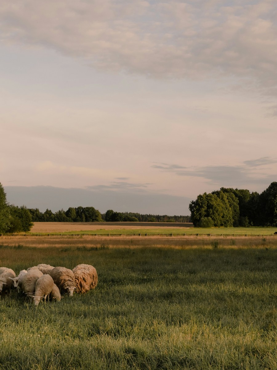 Comment une identité visuelle forte peut dynamiser le tourisme local&nbsp;?
